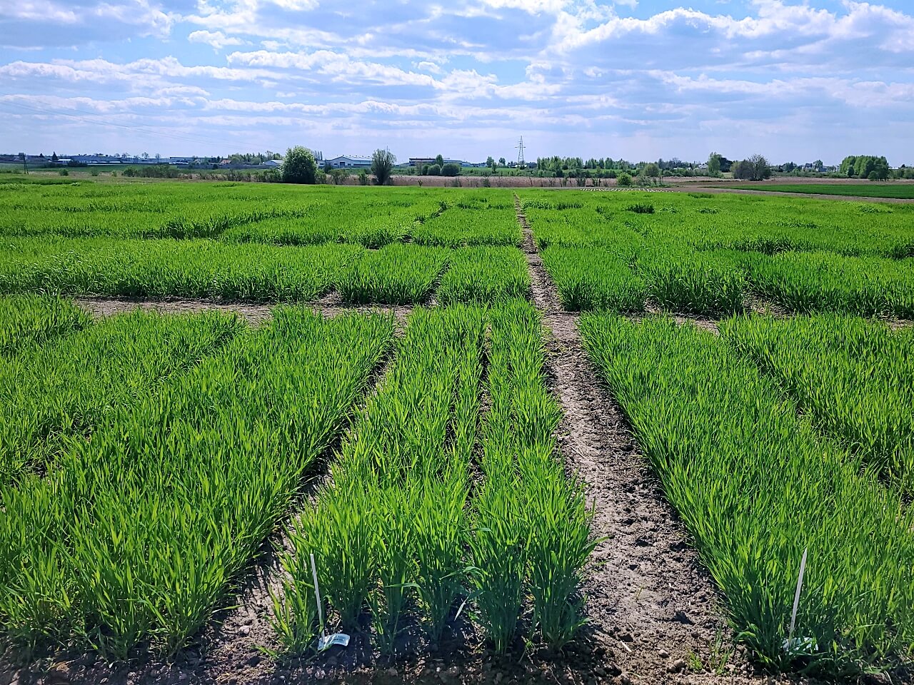 w14002-20231109-171224