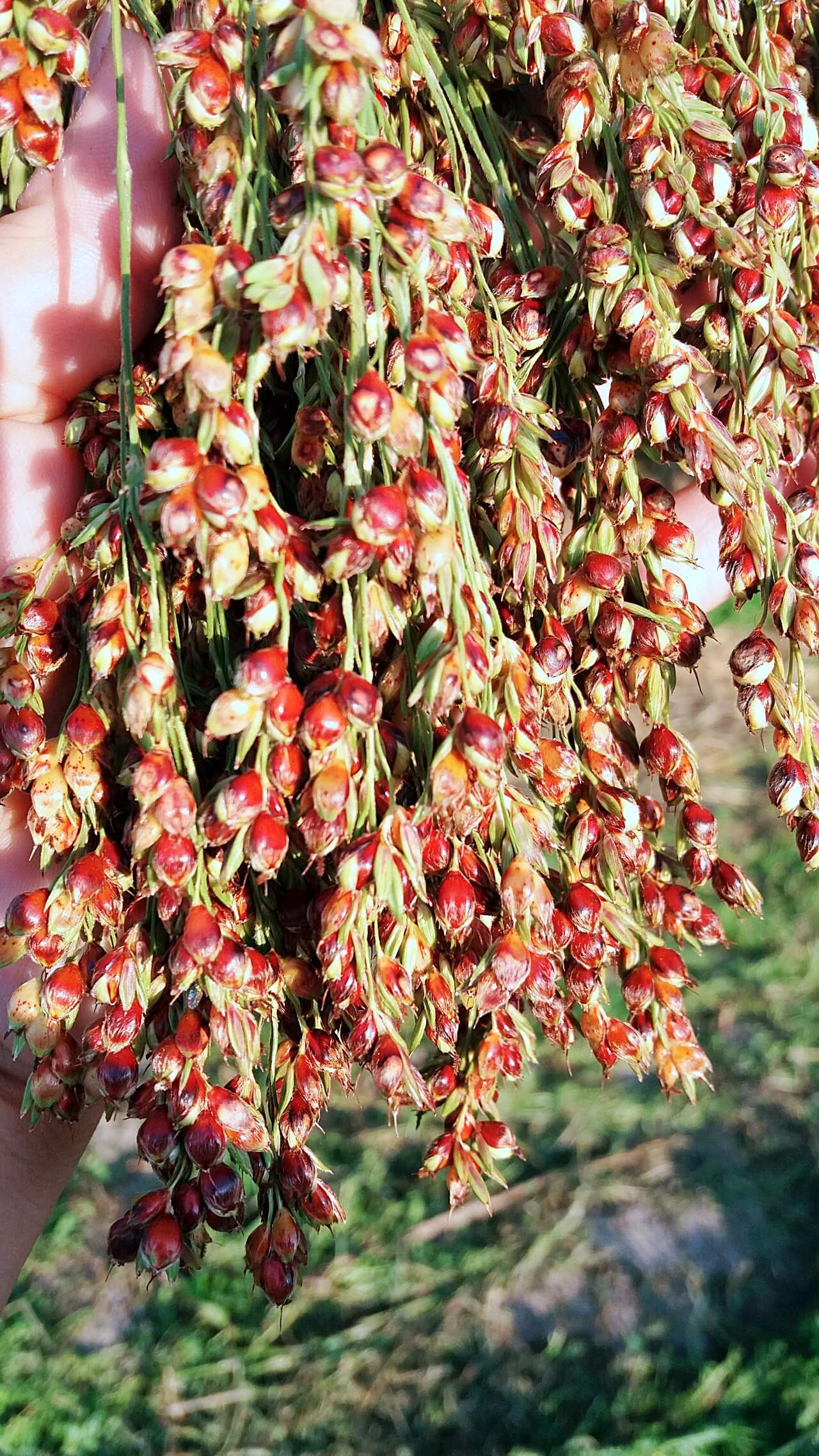 w14003-20231109-171224